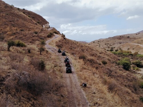 טרקטורוני כלנית